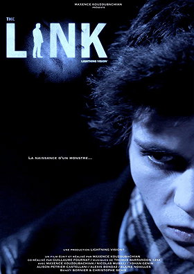 The Link (2011)