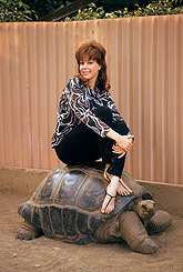 Lorrie Menconi pictures and photos