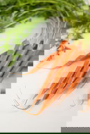 Carrots