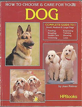 How to Choose & Care for Your Dog