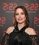 Sophia Bush
