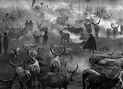 Amak Cattle Camp, Southern Sudan