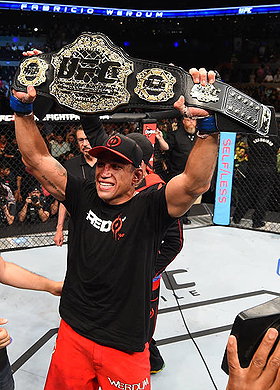 Fabricio Werdum
