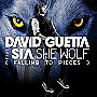 David Guetta Ft. Sia - She Wolf (Falling to Pieces)