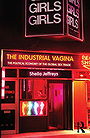 The Industrial Vagina: The Political Economy of the Global Sex Trade