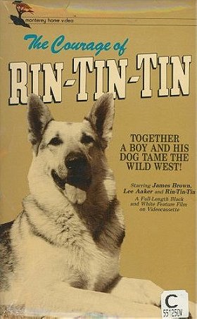 The Challenge of Rin Tin Tin