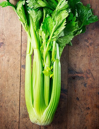 Celery