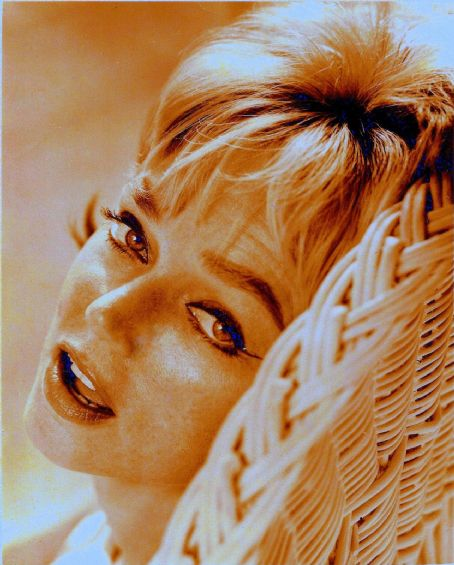 Yvette Vickers