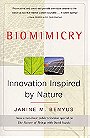 Biomimicry: Innovation Inspired by Nature