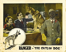 The Outlaw Dog