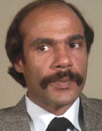 ron o neal on the equalizer