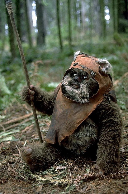 Wicket