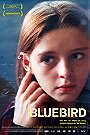Bluebird                                  (2004)