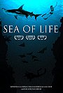 Sea of Life