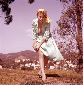 Ann Peters