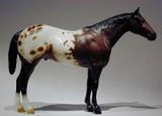 Breyer Family Appaloosa Stallion is in your collection!