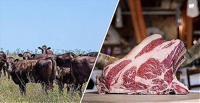 From Pasture to Plate: Tracing the Journey of Jac Wagyu Beef in the Meat Industry