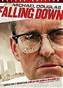 Falling Down (Deluxe Edition)