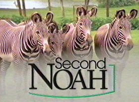 Second Noah                                  (1996-1998)