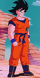 Son Goku / Kakarot