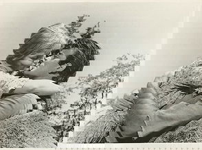 Carol lynley pictures