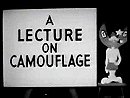 A Lecture on Camouflage