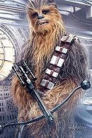 Chewbacca