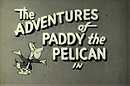 The Adventures of Paddy the Pelican