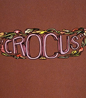 Crocus
