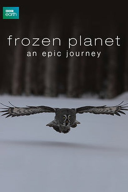 Frozen Planet: The Epic Journey (2011)