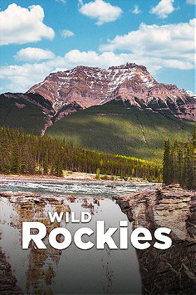 Wild Rockies