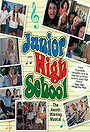 Junior High School