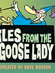 Tales from the Goose Lady: The Ugly Duck Thing