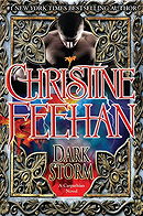 Dark Storm
