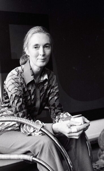 Jane Goodall