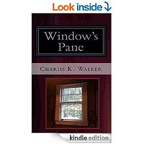 Window's Pane (The Vision Chronicles Book 3)