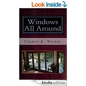 Windows All Around (The Vision Chronicles Book 4)