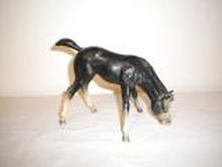 Breyer Grazing Foal black is in your collection!