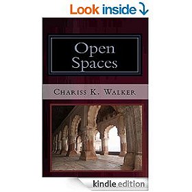 Open Spaces (The Vision Chronicles Book 5)