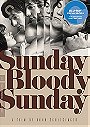 Sunday Bloody Sunday (The Criterion Collection)