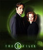 The X Files