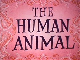You the Human Animal