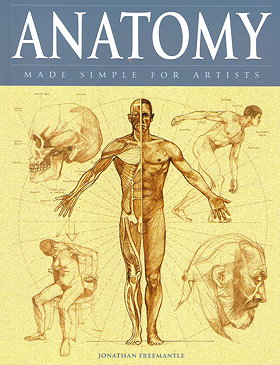 Anatomy Made Simple for Artists