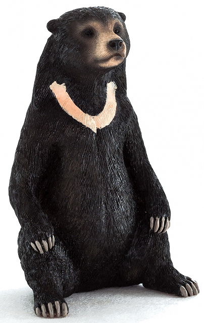 Mojö Sun Bear